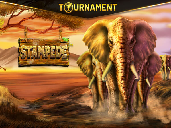 Jogo do america mg